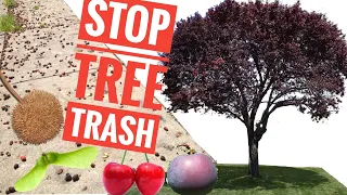 How to stop tree pods from growing. Stop unwanted fruit from nuisance fruit and ornamental trees