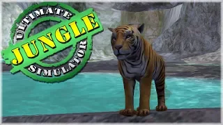 Birth of Our Fierce Tiger Cub!! • Ultimate Jungle Simulator!