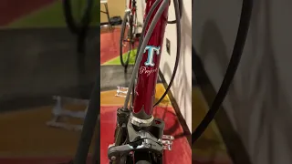 Project Tessa bike public reveal