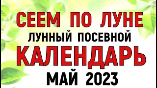 🍅ЛУННЫЙ посевной КАЛЕНДАРЬ 🌙 Посевной Календарь НА МАЙ 2023 года.