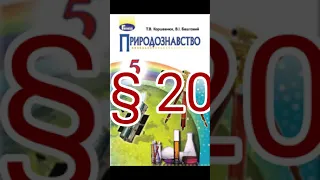 § 20"Всесвіт і його складові" //5 клас Природознавство//Коршевнюк