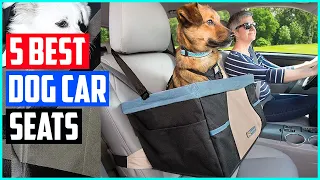 The 5 Best Dog Car Seats for Every Kind of Canine in 2021