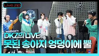 💫스젵  LIVE | DKZ의  '못된 송아지 엉덩이에 뿔' | STATION Z | KBS 220423방송