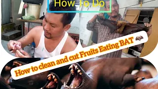 How to clean and cut Fruits Eating BAT 🦇  // How To Do // Bodo recipe // Tribal food BAT recipe