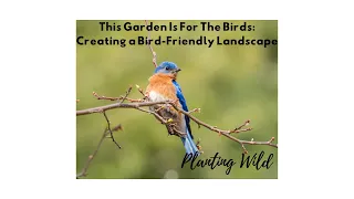 This Garden is for the Birds: Creating a Bird-Friendly Landscape