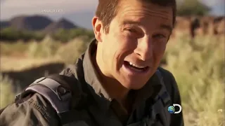 Sobrevivência no Deserto do Arizona Bear Grylls - 720p