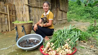 harvest ginger, papaya flowers, snails bring to the market to sell _my daily life | Chuc Thi Duong