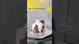 Expanding a Chocolate Marshmallow in a Vacuum Chamber