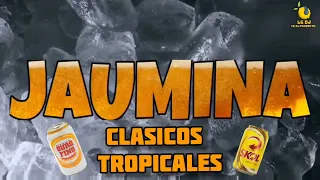 CLASICOS TROPICALES ❌️ JAUMINA ❌️ VIERNES ❌️ LG DJ