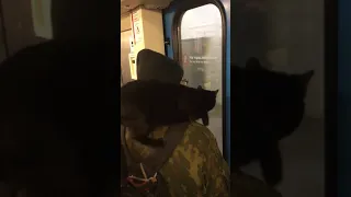 Мужик с чёрной кошкой на плечах в метро/Man with the black cat on his shoulders in metro