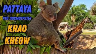 🌍 Зоопарк Кхао Кхео Паттайя Таиланд 🌍 Паттайя экскурсии Зоопарк Khao Kheow Zoo