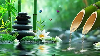 Relaxing Piano Music heals the Soul, Water Sounds, Bird Sounds, Natural Sounds🌿🌿