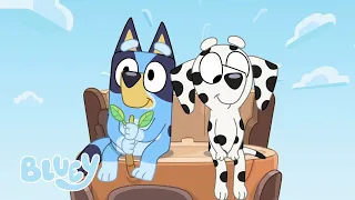 Los mejores amigos de Bluey y Bingo de la 2ª temporada | Bluey Español Canal Oficial