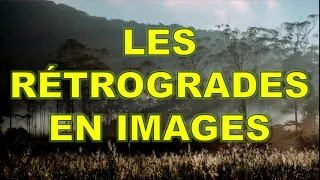 Les rétrogrades en images 2/2