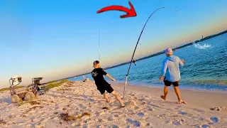 The Best Bait to throw off the Beach for GIANTS!