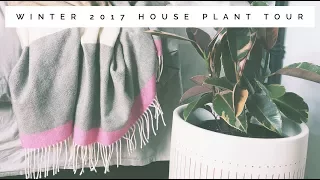 winter 2017 house plant tour