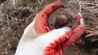 В хорошую погоду не время сидеть дома.