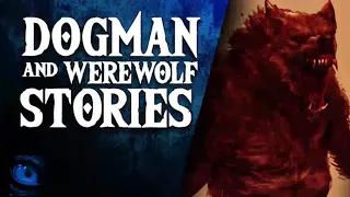 SCARY DOGMAN ENCOUNTERS - CHILLING TRUE STORIES OF DOGMAN SIGHTINGS