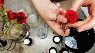 Eternal rose in glycerin | Flower preservation | My experience | CRAZY HAND