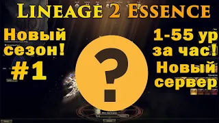 ЛЕГЕНДАРНЫЙ СТАРТ в Lineage 2 Essence! Новый сезон выживания 1 55 лвл за час! Новые сервера #1