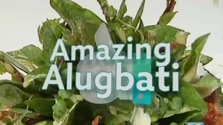 GoodNews: Amazing Alugbati!