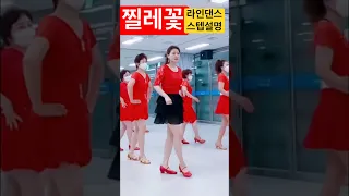 찔레꽃 라인댄스 스텝설명