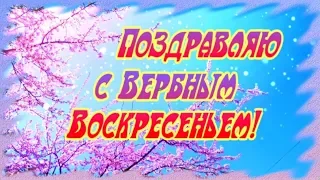 Поздравляю с Вербным Воскресеньем!  Для тебя! От всей души!