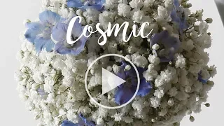 FR Presents: Cosmic