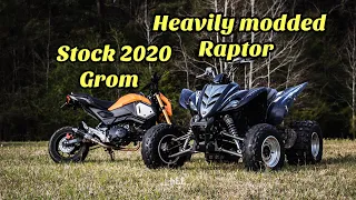 Heavily Modded Raptor Vs. Stock 2020 Honda Grom (MUST WATCH)‼️