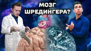 МОЗГ ШРЁДИНГЕРА: Квантовые процессы в основе нашего мышления (feat. Дмитрий Побединский)