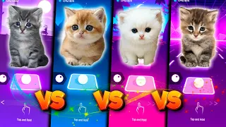 All Cute Cats Shakira Waka Waka VS Lisa Money Blackpink VS Justin Bieber VS BTS Fake Love