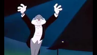 PARALELO - the cat concerto (Rhapsody)- Bugs Bunny