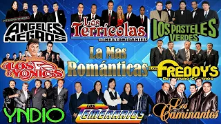 Los Temerarios, Los Terrícolas, Los Yonic's, Los Freddy's, Los Caminantes... Éxitos Romanticas