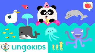 SEA ANIMALS for Kids 🌊🐳 VOCABULARY, SONGS and GAMES | Lingokids