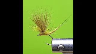 Fly Tying: Detached Body Mayfly