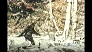 Bigfoot: Was The Patterson Film a Hoax?