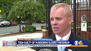 Teen pleads guilty to killing elderly neighbor in home invasion: 'This was planned'