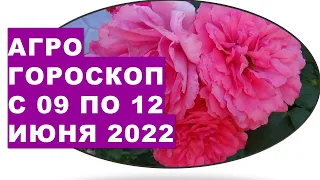 Агрогороскоп с 09 по 12 июня 2022 года