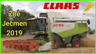 Žně 2019 - Ječmen | Harvest 2019 - Barley | Claas Lexion 550 | ZD UNČOVICE