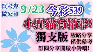 9/23 今彩539 小野貓有"精彩"539 獨支版路分享 要相信❤想著想著就來了★❤