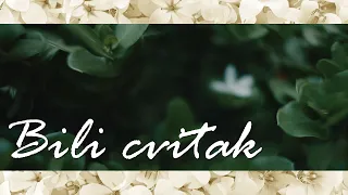 Jura Stublić & Film - Bili cvitak (Official lyric video)