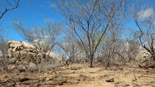 Mistério No Sertão (CONHEÇA UMA PEDRA MUITO ESTRANHA - O QUE SERÁ?) FICA EM PERNAMBUCO