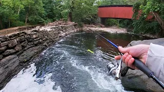 PA TROUT FISHING 2023 LATE SEASON