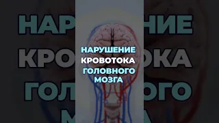 Простой способ улучшения кровотока головного мозга! #здоровье #шишонин