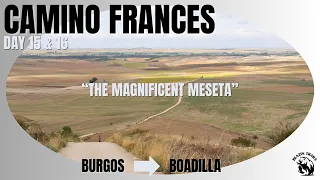 Camino Frances - 'The Magnificent Meseta'