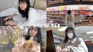 Slice of Life: Realistic week of uni, Simple Fall Days, Cleaning & Grocery Shopping