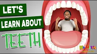 Learn about Teeth for Kids | Dental Hygiene for Kids