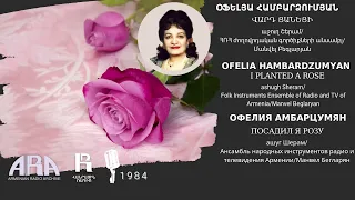 Օֆելյա Համբարձումյան/ Վարդ ցանեցի/ Ofelia Hambardzumyan/ I planted a rose