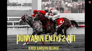 DÜNYANIN EN İYİ 2 ATI KARŞI KARŞIYA GELİRSE