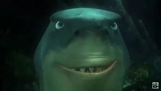 Finding Nemo Wilhelm Scream